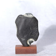 Japanese Pattern Stone Suiseki Buddha Figure Natural Zen Art Possibly Sugata2