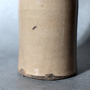 Late Edo Seto Ware Ceramic Sake Bottle Tokkuri Iron Brown Grass Motif PV31714