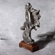 Unique Vintage Japanese Stainless Steel Suiseki Fantastic Rock Formation Stone6