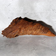 Japanese Rustic Natural Wood Root Hanging Flower Vase Kake-Hanairi 28cm WO56512