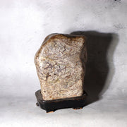 Japanese Suiseki Plum Blossom Stone Premium Baikaseki Viewing Stone Custom Wood3