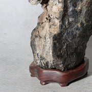 Japanese Suiseki Gifu Kikkaseki Chrysanthemum Stone Wooden Base SS23913