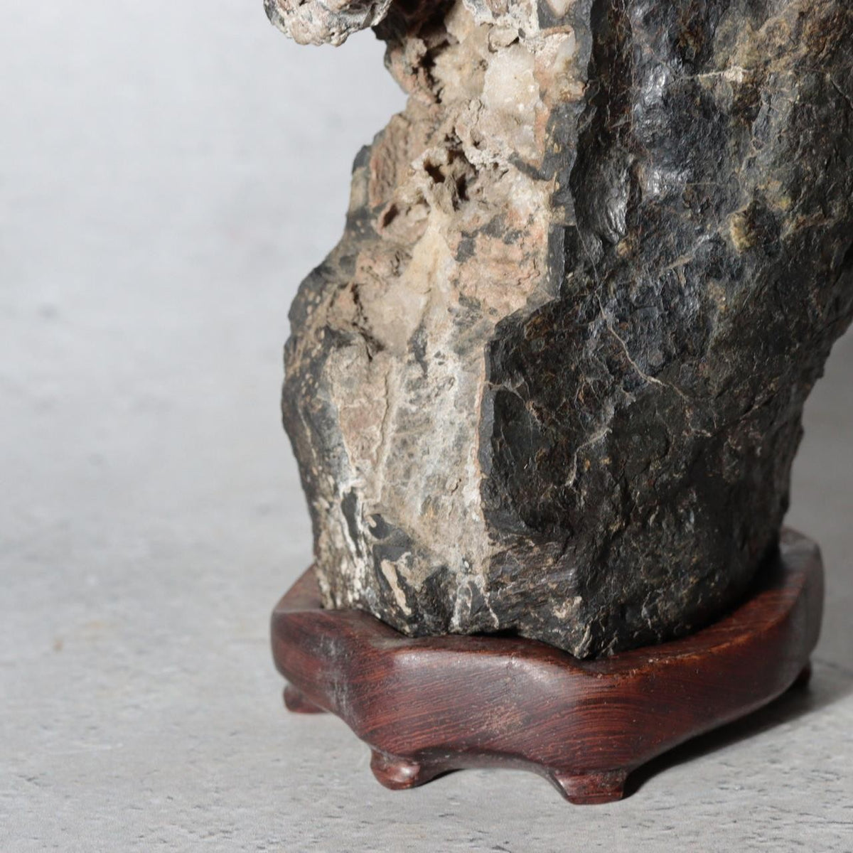 Japanese Suiseki Gifu Kikkaseki Chrysanthemum Stone Wooden Base SS23913