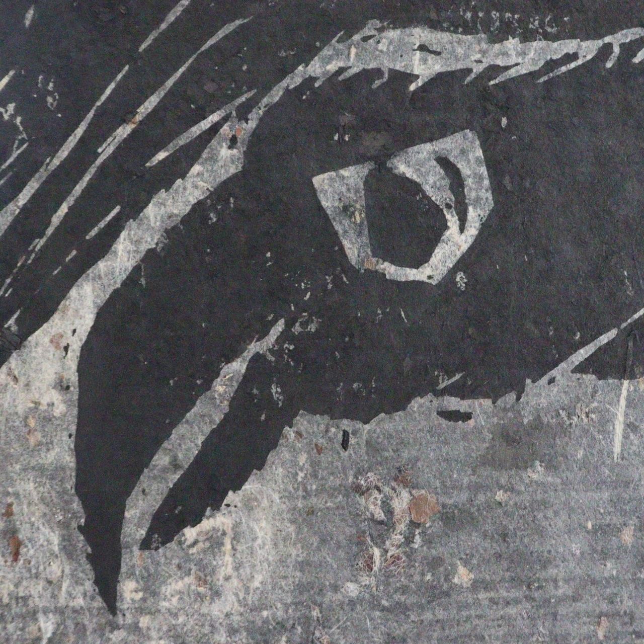 Japanese Woodblock Print Akiyama Iwao Habataki crow Signed Numbered Large Print16
