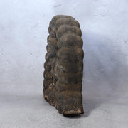 Antique Japanese Clay Daikokuten Plaque God of Wealth Prosperity Edo/Meiji Era3