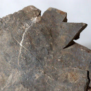 Japanese Suiseki Mountain Viewing Stone Furuya Kamuikotan Style14