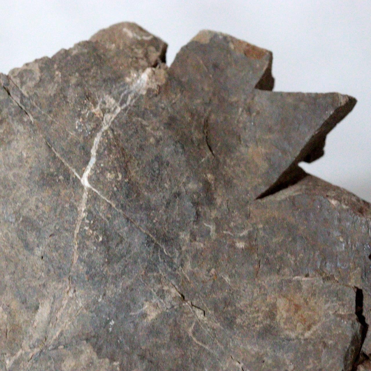 Japanese Suiseki Mountain Viewing Stone Furuya Kamuikotan Style14