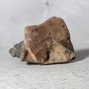 Japanese Suiseki Viewing Stone Miniature Mountain Scholar Rock SS2369