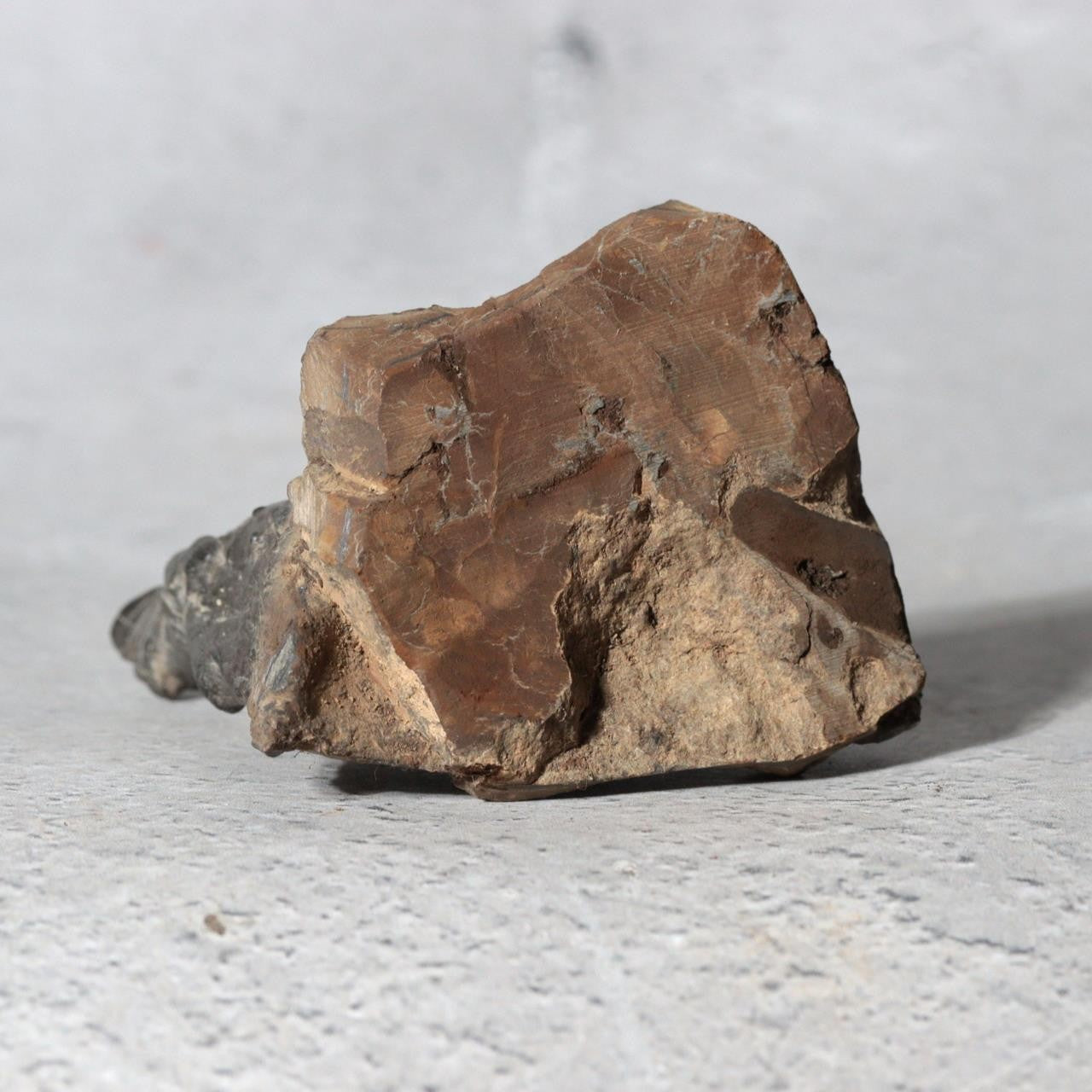 Japanese Suiseki Viewing Stone Miniature Mountain Scholar Rock SS2369