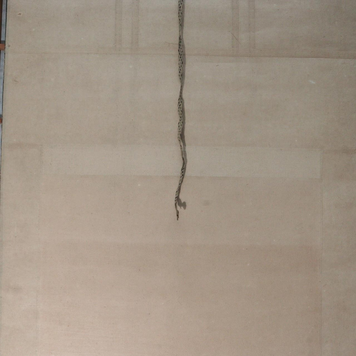 Japanese Silk Hanging Scroll Painting Oshu Nohara Wolf Awasebako12