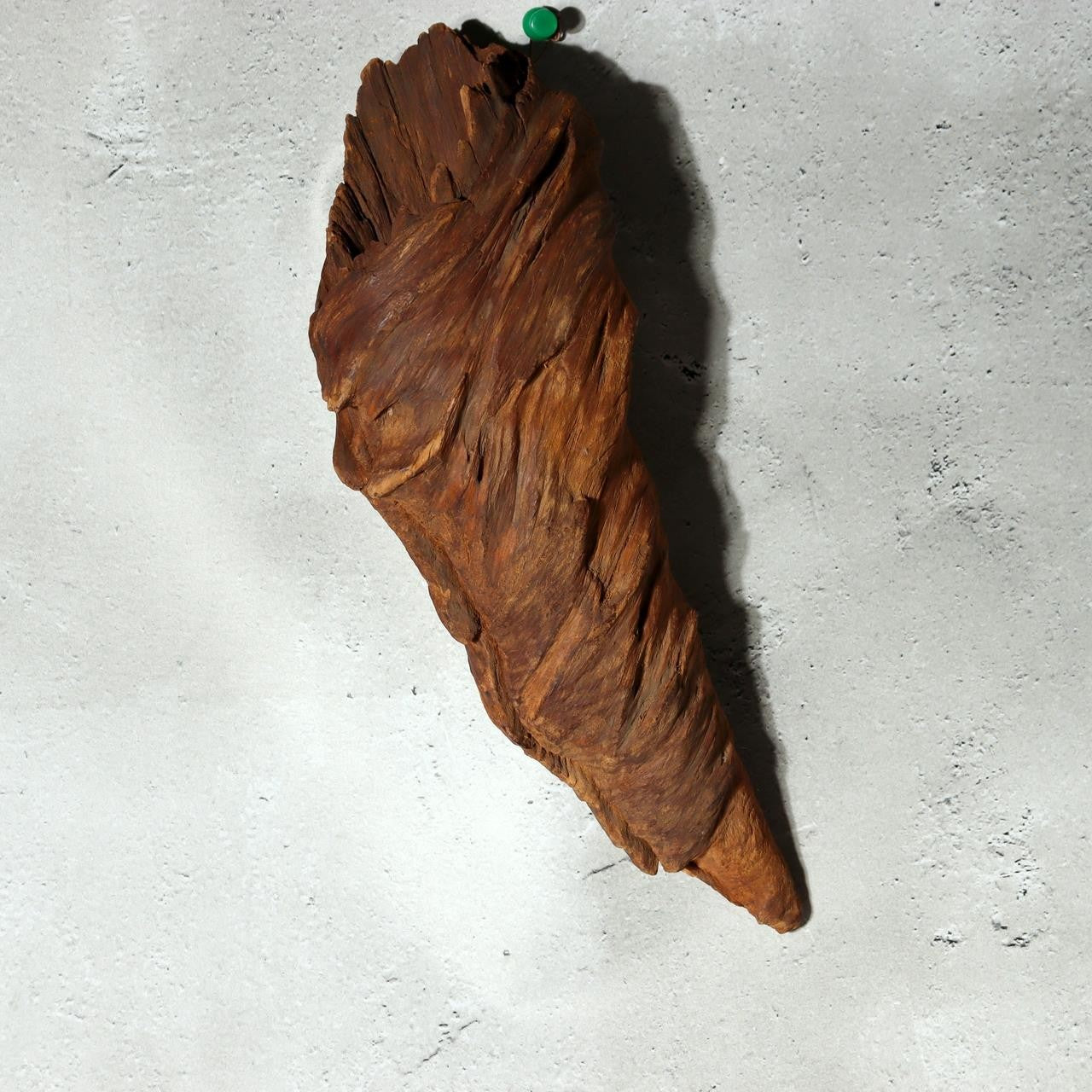 Japanese Rustic Natural Wood Root Hanging Flower Vase Kake-Hanairi 28cm WO5654