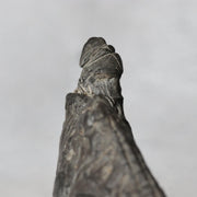 Japanese Suiseki Viewing Stone Miniature Mountain Scholar Rock SS23611