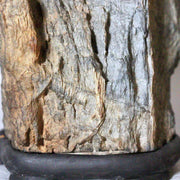 Japanese Suiseki Viewing Stone Senbutsu-ishi Natural Mountain Formation Zen13