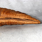 Japanese Rustic Natural Wood Root Hanging Flower Vase Kake-Hanairi 28cm WO56516