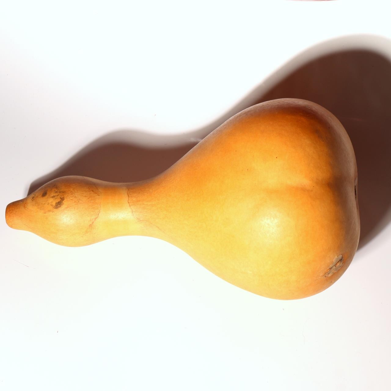 Japanese Traditional Fukube zaiku Large Gourd Vessel Bowl Tochigi Set of2 Object9