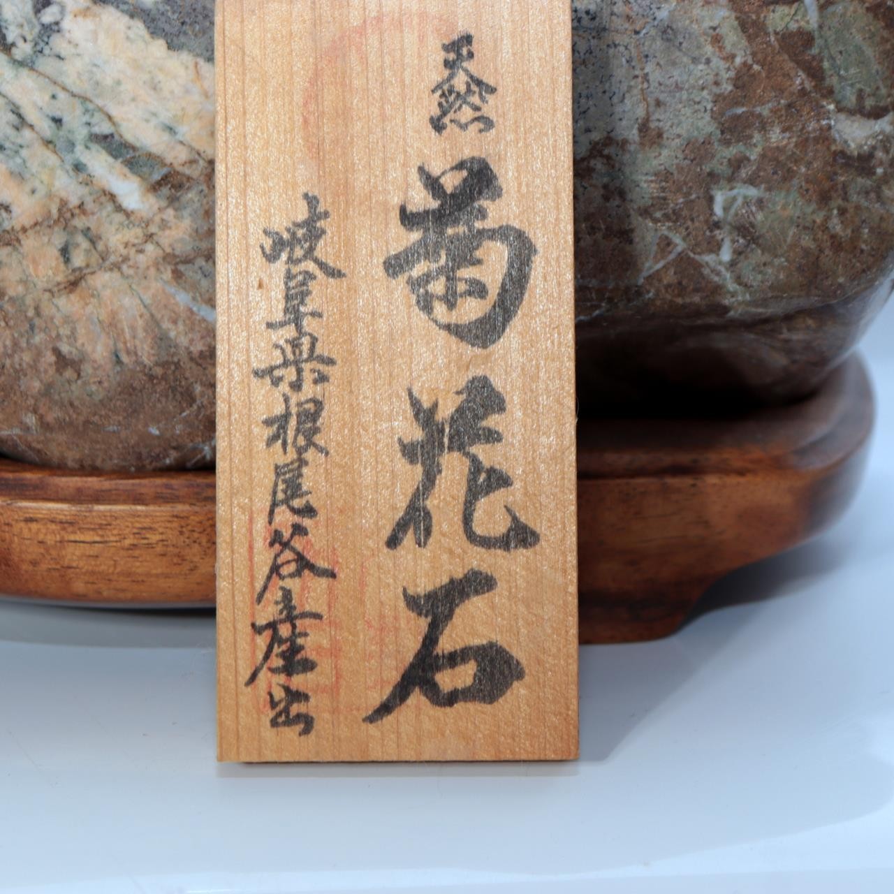 Japanese Natural Chrysanthemum Stone Kikuka-seki Neodani Gifu with Daiza SS2361