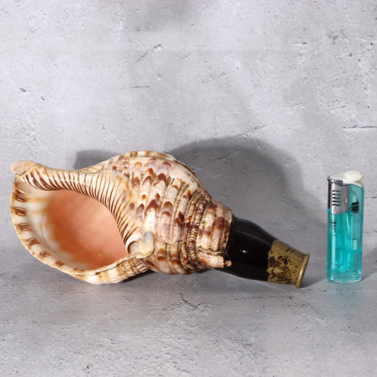 Japanese Horagai Conch Shell Trumpet  Yamabushi Samurai Whistle 23cm SG890