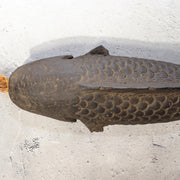 Vintage Japanese Ceramic Fish Wall Vase Jizai Kagi Yokogi Hearth Hook PV30711