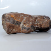 Japanese Natural Chrysanthemum Stone Kikuka-seki Neodani Gifu with Daiza SS23610