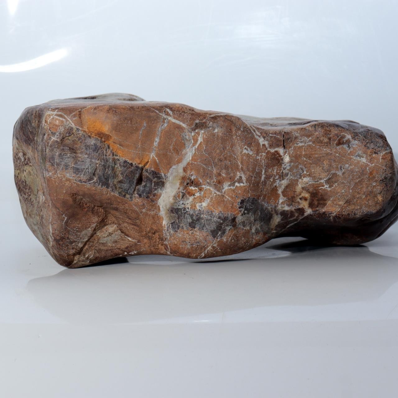 Japanese Natural Chrysanthemum Stone Kikuka-seki Neodani Gifu with Daiza SS23610