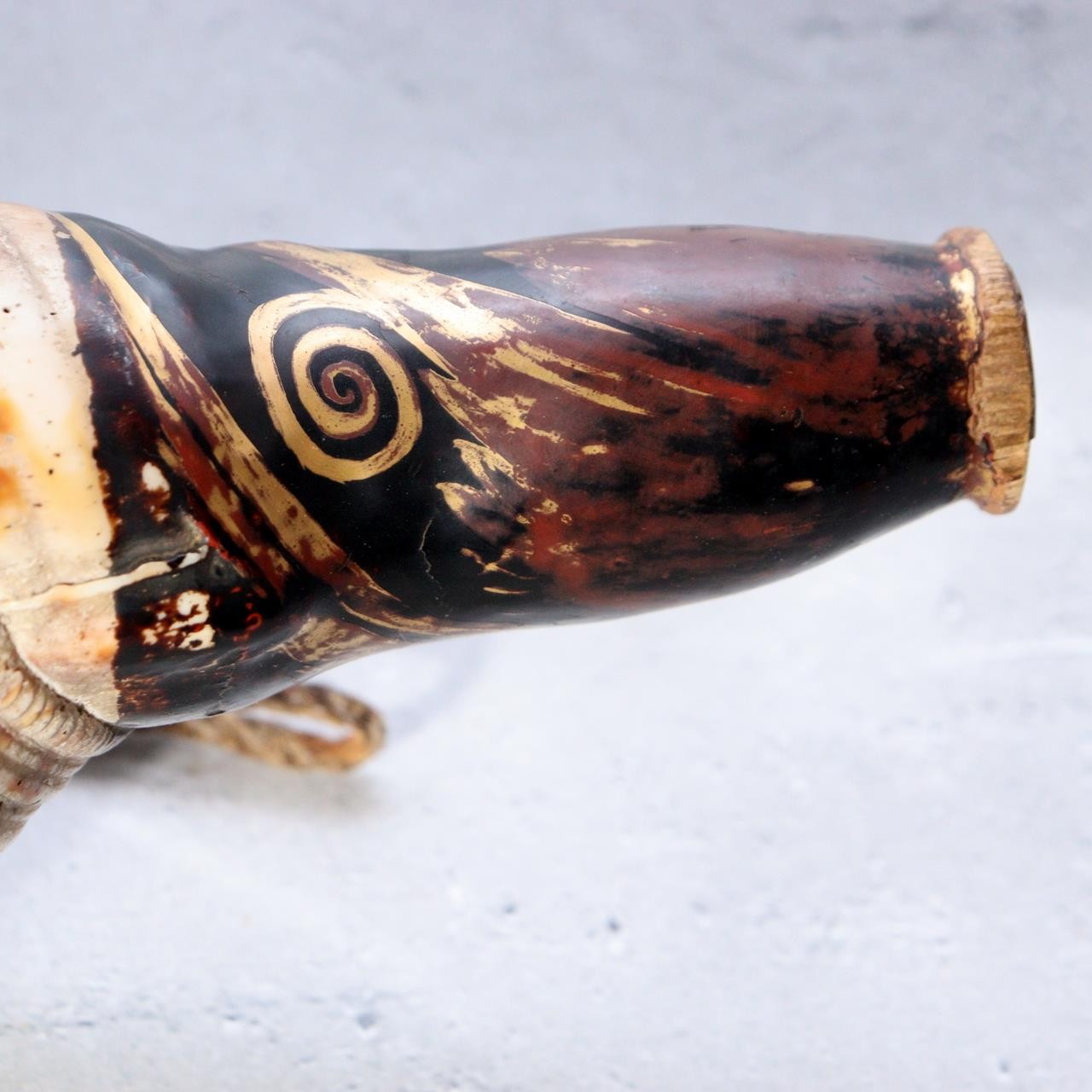 Japanese Horagai Conch Shell Trumpet Lacquered Mouthpiece Gold Swirls Yamabushi7