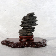 Japanese Miniature Suiseki Viewing Stone Sun-ishi Natural Rosewood Stands14