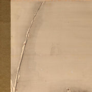 45917879
