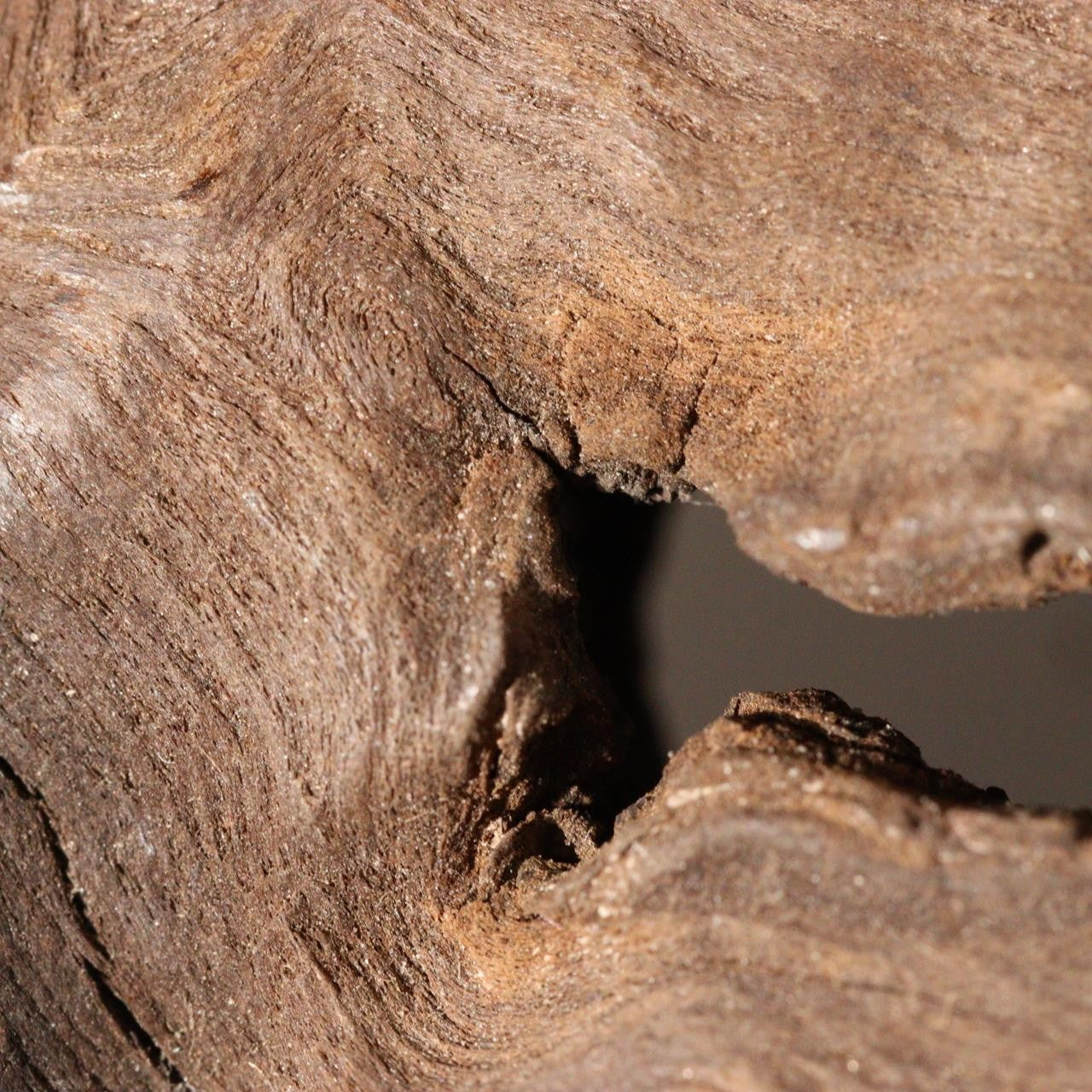 Vintage Japanese Burl Wood Display Stand Wabi Sabi Kanban Sign Fragment WO53714