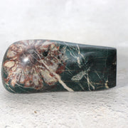 Japanese Suiseki Gifu Kujaku Kikkaseki Chrysanthemum Stone Wooden Base SS24112