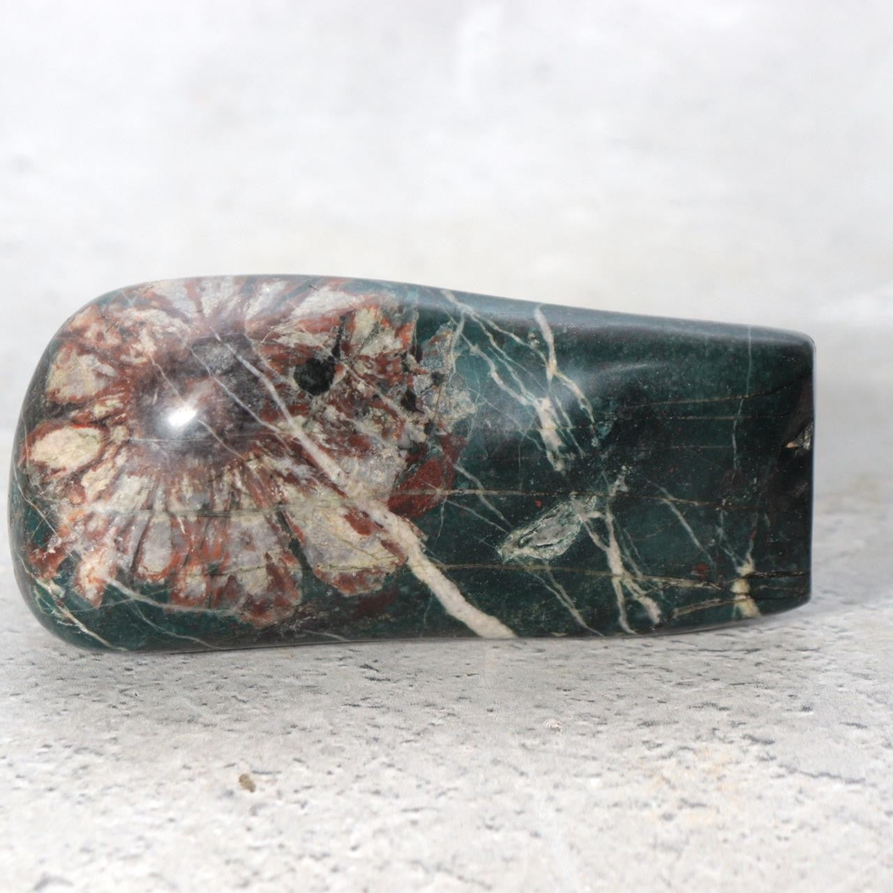 Japanese Suiseki Gifu Kujaku Kikkaseki Chrysanthemum Stone Wooden Base SS24112