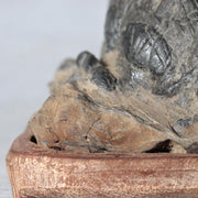 Japanese Suiseki Viewing Stone Miniature Mountain Scholar Rock SS2364
