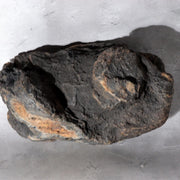Japanese Suiseki Viewing Stone Ryugumon Sanpo seki Yamagata ishi Bonsai SS447