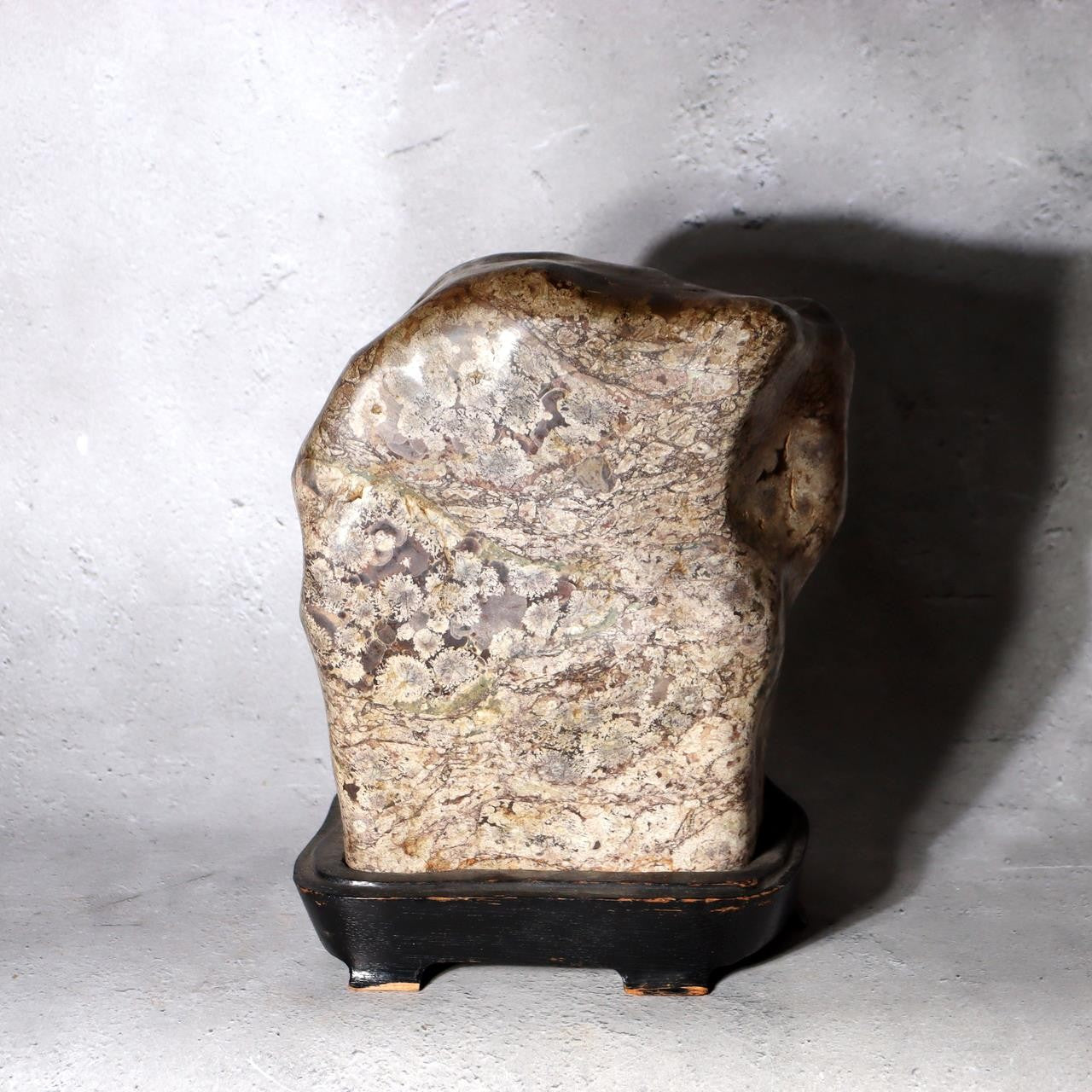 Japanese Suiseki Plum Blossom Stone Premium Baikaseki Viewing Stone Custom Wood2