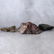 Japanese Red Kikkaseki Chrysanthemum Stone & Landscape Stones - Set of 3 SS2312