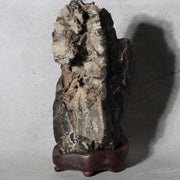 Japanese Suiseki Gifu Kikkaseki Chrysanthemum Stone Wooden Base SS2393