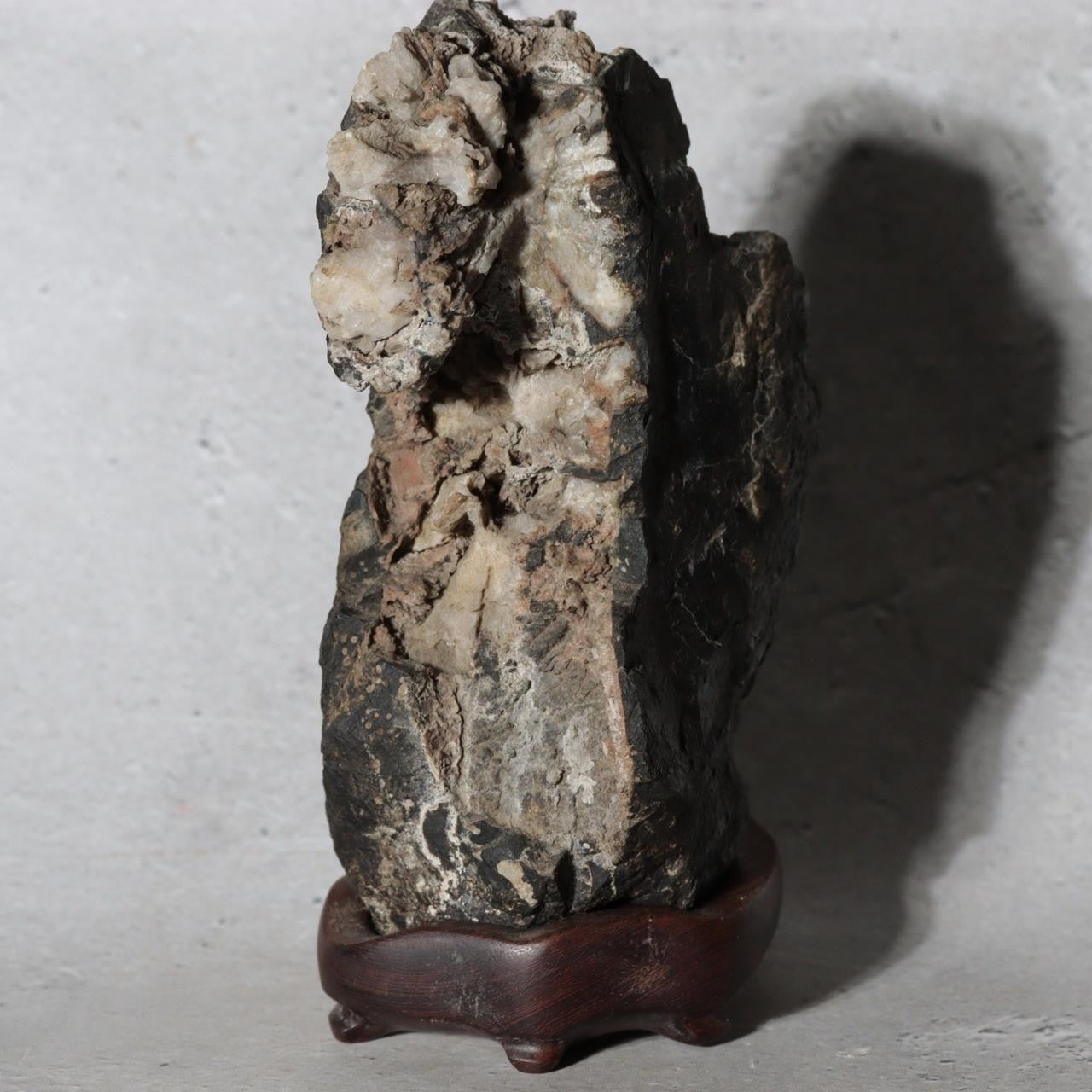 Japanese Suiseki Gifu Kikkaseki Chrysanthemum Stone Wooden Base SS2393