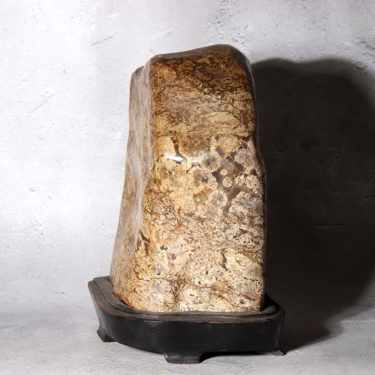 Japanese Suiseki Plum Blossom Stone Premium Baikaseki Viewing Stone Custom Wood4