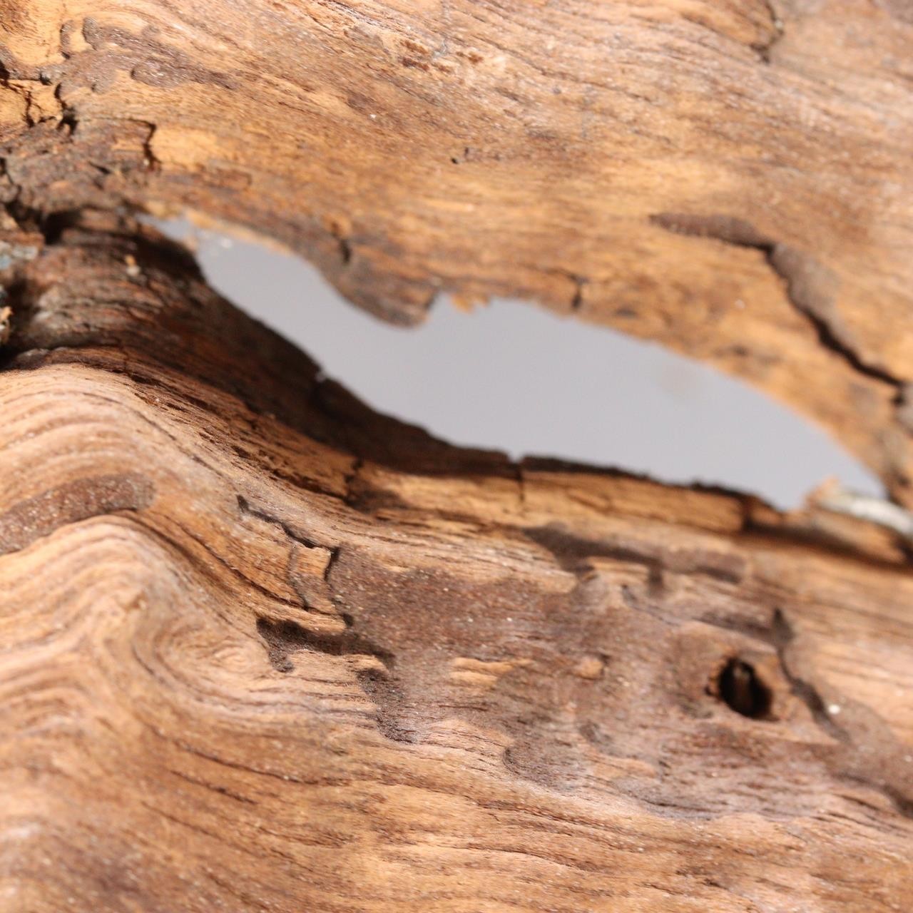 Vintage Japanese Burl Wood Display Stand Wabi Sabi Kanban Sign Fragment WO53716