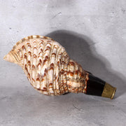 Japanese Horagai Conch Shell Trumpet  Yamabushi Samurai Whistle 23cm SG893