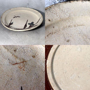 Antique Bakumatsu Seto Ware Ceramic Plate Iris Dragonfly Pattern PCP3066