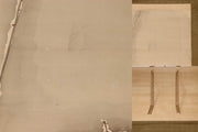 45917879