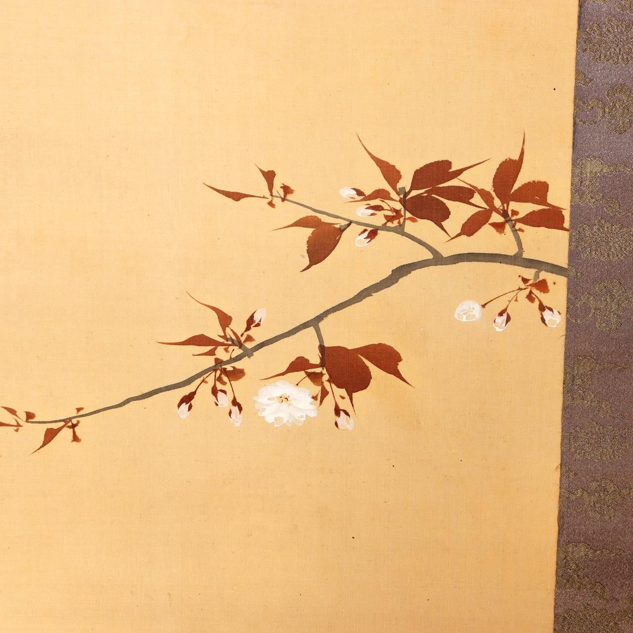 Japanese Scroll Painting Crow Cherry Blossom Full Moon Kato Eishu Silk Box ASO4312