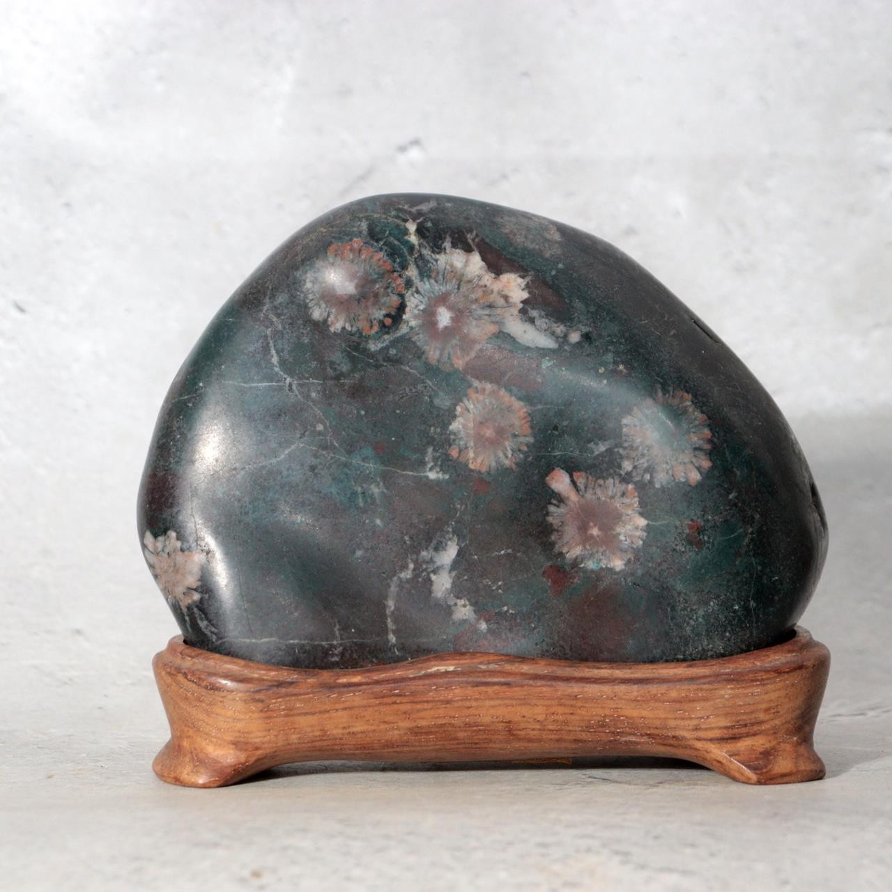 Japanese Suiseki Gifu Kujaku Kikkaseki Chrysanthemum Stone Wooden Base SS2400