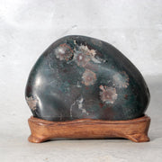 Japanese Suiseki Gifu Kujaku Kikkaseki Chrysanthemum Stone Wooden Base SS2400