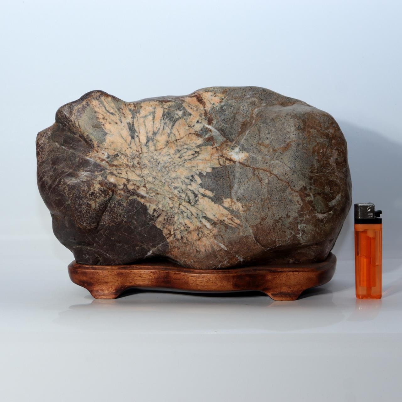 Japanese Natural Chrysanthemum Stone Kikuka-seki Neodani Gifu with Dai