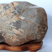 Japanese Natural Chrysanthemum Stone Kikuka-seki Neodani Gifu with Daiza SS2366