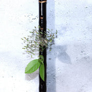 Authentic Edo  Japanese Shinobue Flute  Lacquer Antique Mitchell Flower Vase13