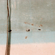 ​Vintage Japanese Hanging Scroll Kakejiku Peony Butterfly ASO46010