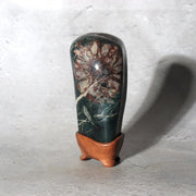 Japanese Suiseki Gifu Kujaku Kikkaseki Chrysanthemum Stone Wooden Base SS24114