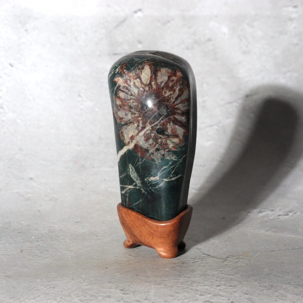 Japanese Suiseki Gifu Kujaku Kikkaseki Chrysanthemum Stone Wooden Base SS24114
